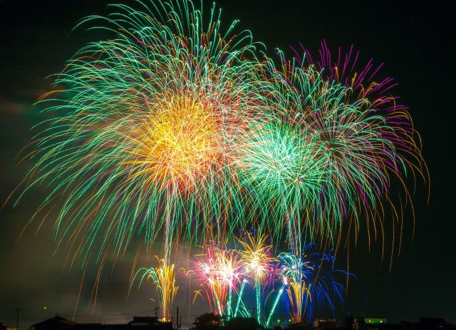 Pressed Flowers, The Firework, Multicolor