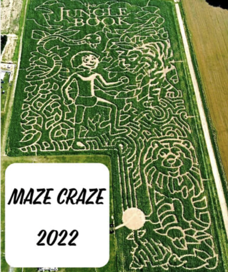 best corn mazes