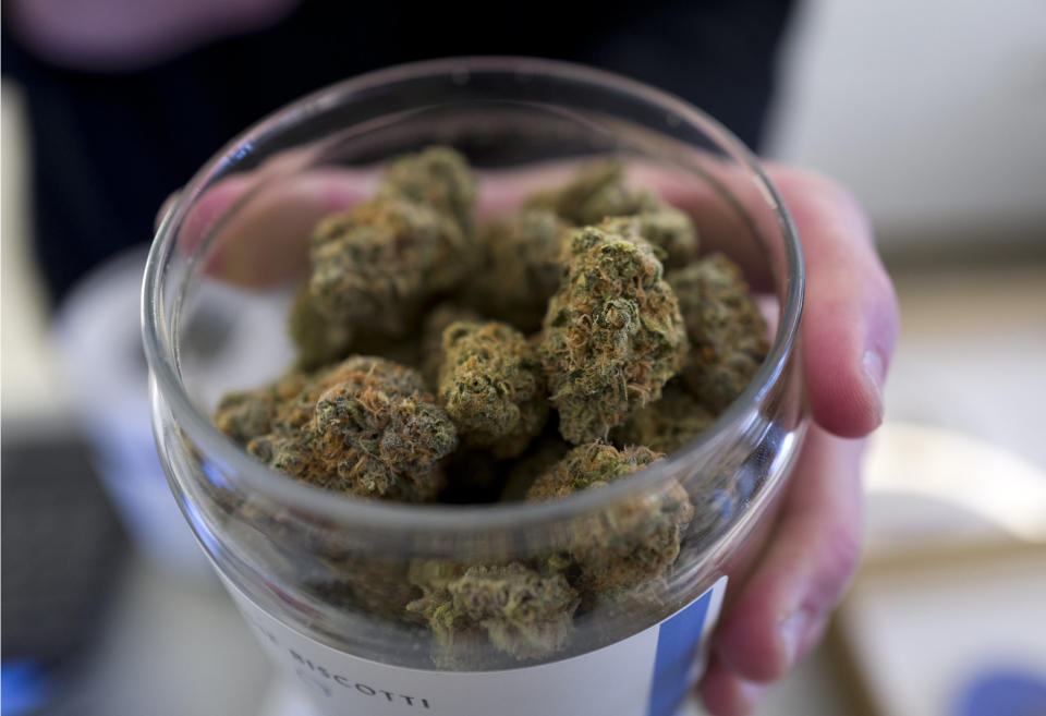 In this Thursday, Feb. 7, 2019 photo a bud tender shows a top cannabis strain at Serra a dispensary in Portland, Ore. A U.S. senator from Oregon has proposed legislation that would give states a free hand to allow legal marijuana markets without the threat of federal criminal intervention. (AP Photo/Richard Vogel)