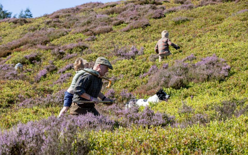 The Glorious Twelfth on Wednesday will be the start of the shooting season  - Charlotte Graham 