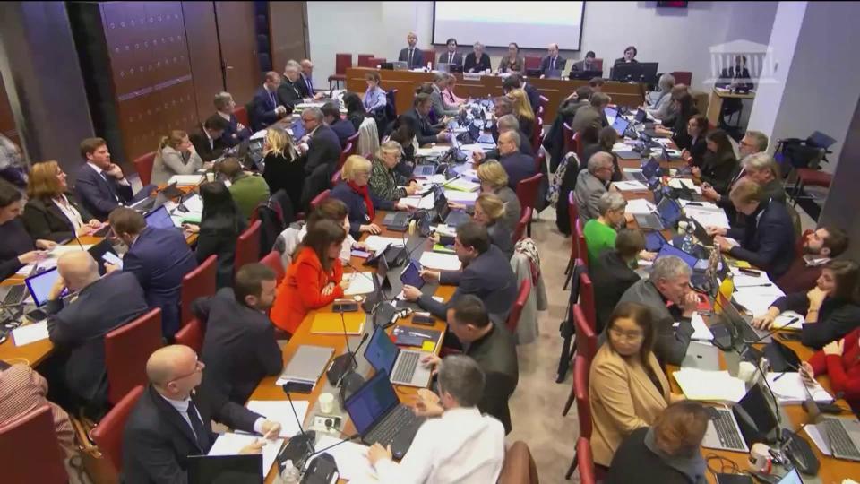 Les députés en commission des Affaires sociales le lundi 30 janvier 2023 (capture d'écran)  - BFMTV