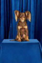 <p>The final new breed appearing in the 2022 National Dog Show is the Russian Toy. The dog is joining the Toy Group. Russian Toys are beloved for their playful demeanor and desire for cuddly human companionship.</p> <p>Dog lovers can see these new breeds and dozens more by tuning into the 2022 National Dog Show on NBC on Thanksgiving Day. The dog show will start airing at noon in all time zones, <a href="https://people.com/music/mariah-carey-to-open-for-santa-macys-thanksgiving-day-parade/" rel="nofollow noopener" target="_blank" data-ylk="slk:right after the Macy's Thanksgiving Day Parade" class="link ">right after the Macy's Thanksgiving Day Parade</a>. </p>