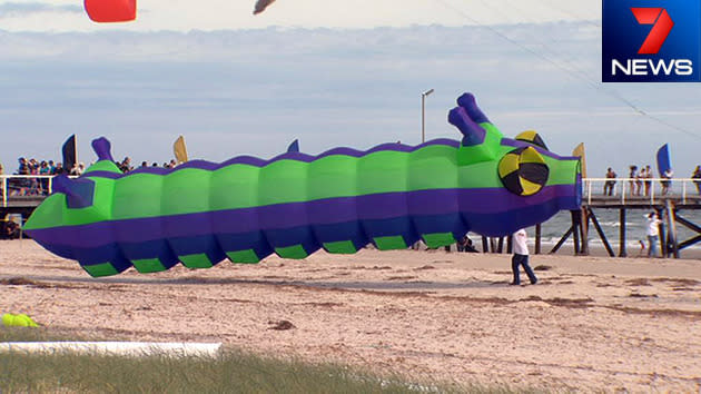 Adelaide International Kite Festival 2014