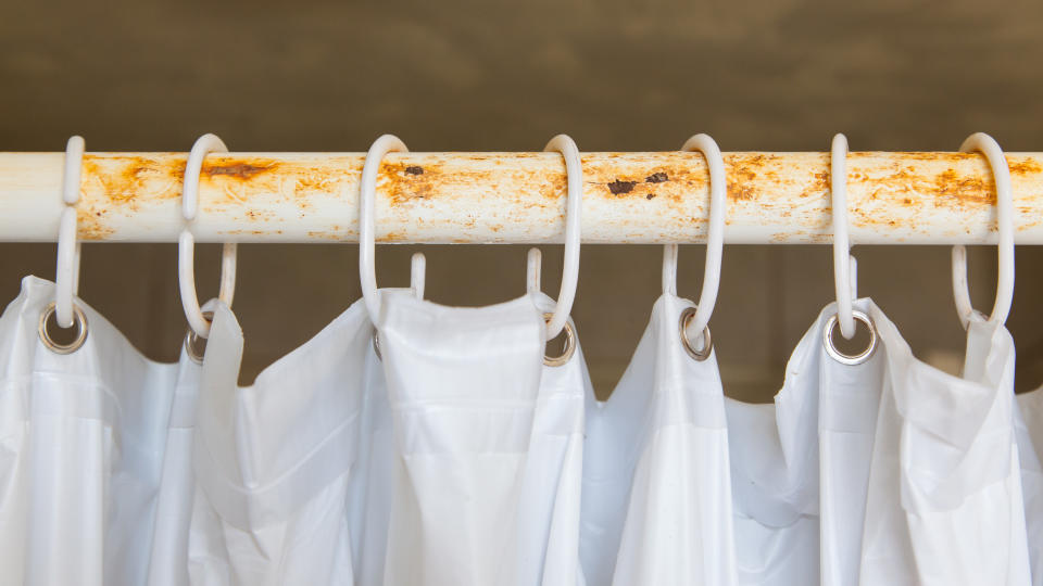 Germs on shower curtain in bathroom. (Getty Images)