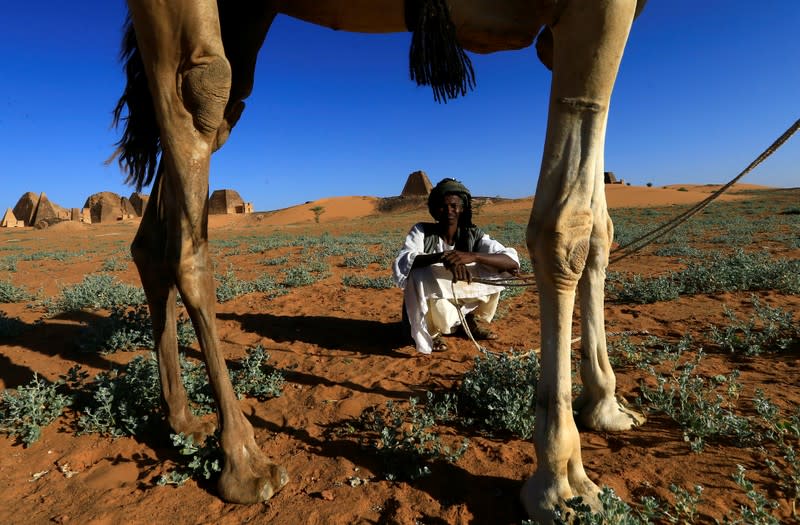 Tour guider rest near a camel in front of the Royal Cemeteries of Meroe Pyramids in Begrawiya at River Nile State