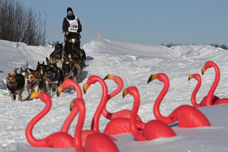 FILE - Mille Porsild and her dog team pass by Camp Flamingo on the Susitna River during the start of the Iditarod Trail Sled Dog Race north of Willow, Alaska, on March 7, 2021. The Iditarod, the world's most famous sled dog race, begins Saturday, March 4, 2023, with a fan-friendly 11-mile (17.7 kilometer) jaunt through the streets of Anchorage. (Bill Roth/Anchorage Daily News via AP, Pool)