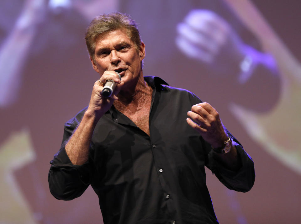 David Hasselhoff in 2017 (credit: WENN)