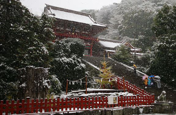 Tsurugaoka Hachimangu Shrine.