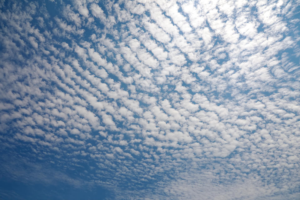 Bilden die Cirren keine Federn-, sondern Schäfchenwolken, kündigt das Gewitter an (Bild: Getty Images)