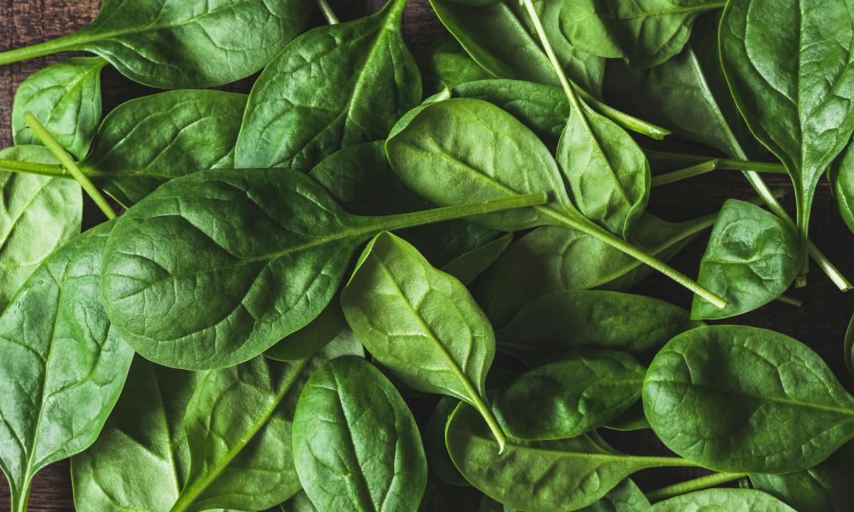 Rappel étendu à la contamination des épinards causée par la «mauvaise herbe» verte à feuilles dans une ferme victorienne