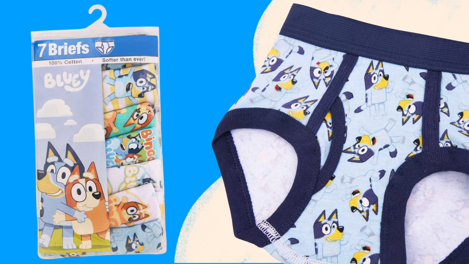 These briefs come with Bluey and Bingo graphics.