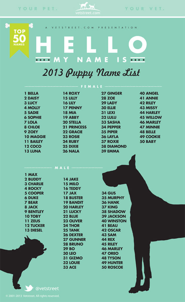 Popular male shop dog names