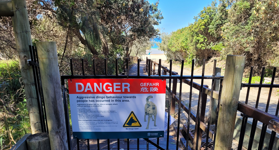 A Danger sign at Happy Valley warning about dingoes.