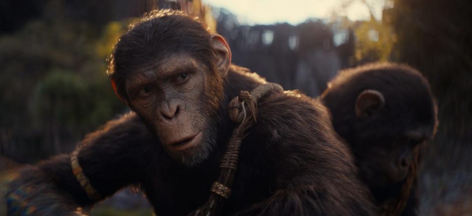 Noa (played by Owen Teague) is a young chimpanzee forced on a rescue mission when his village is brutally attacked in "Kingdom of the Planet of the Apes."