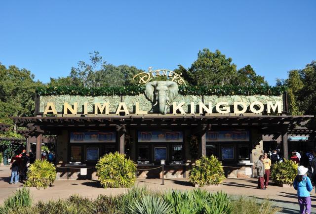 What's New in Animal Kingdom: Construction, Aliens, Yetis, and More!