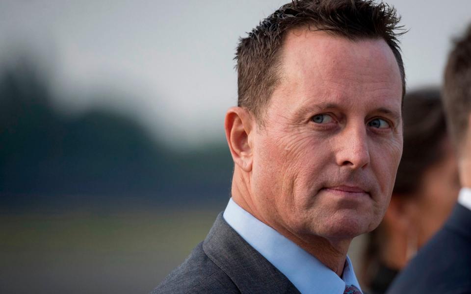 Richard Grenell has no relevant background or top-level management experience  - AFP