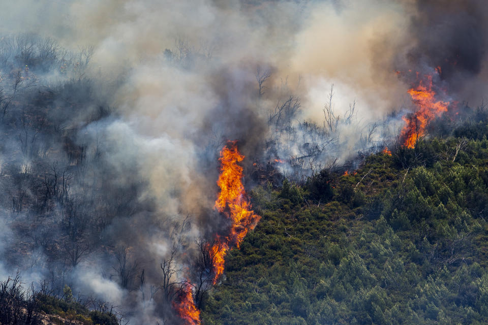 A forest burns during a wildfire near Alcublas, eastern Spain, on Thursday, Aug. 18, 2022. The European Forest Fire Information System says 275,000 hectares (679,000 acres) have burned in wildfires so far this year in Spain. That's more than four times the country's annual average of 67,000 hectares (165,000 acres) since 2006, when records began. (AP Photo/Alberto Saiz)