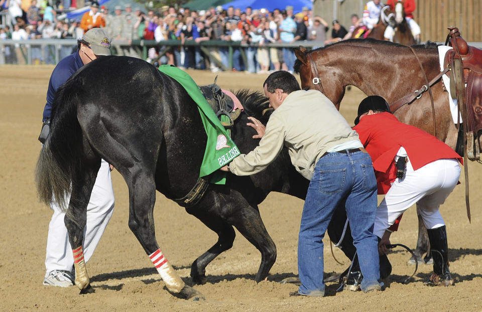 FILE - Track personnel try to hold down Eight Belles after the 134th Kentucky Derby horse race May 3, 2008, at Churchill Downs in Louisville, Ky. Eight Belles was euthanized after breaking both front ankles following a second-place finish in the race. (AP Photo/Brian Bohannon, File)