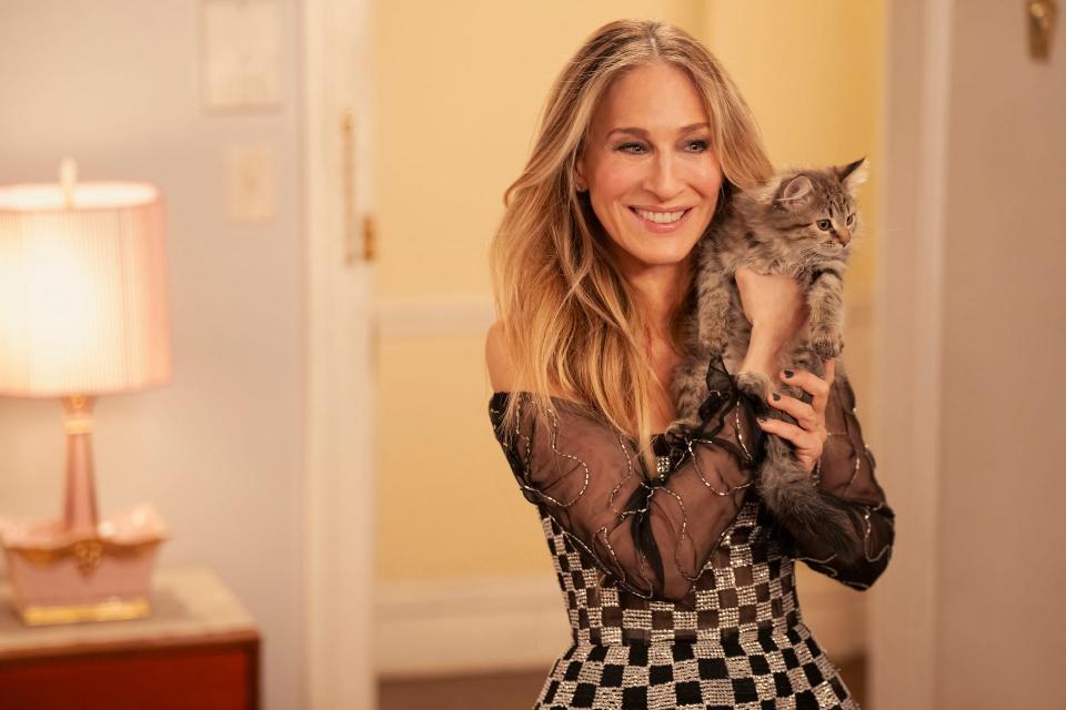 Carrie (Sarah Jessica Parker) and her new pet kitty say goodbye to her longtime apartment.