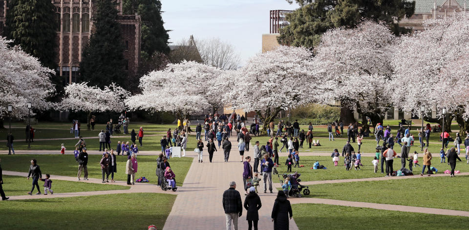 Spring on the University of Washington campus on March 20, 2018, in Seattle.&nbsp; (Photo: AP Photo/Elaine Thompson)