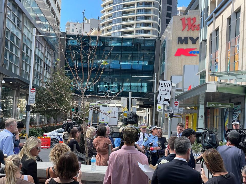 NSW Police Commissioner Karen Webb and Premier Chris Minns address reporters. Source: Michael Dahlstrom