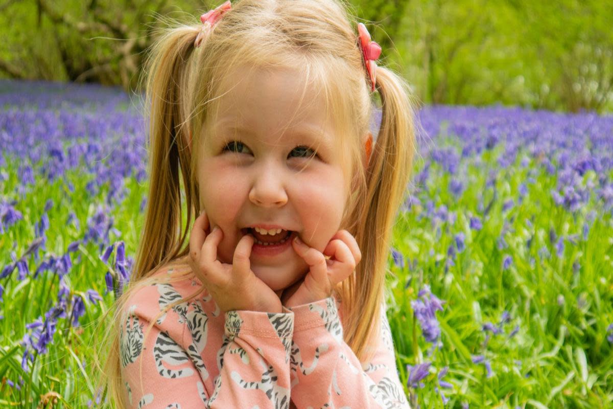 A child enjoying the bluebells at Pensthorpe Picture: Pensthorpe <i>(Image: Pensthorpe)</i>