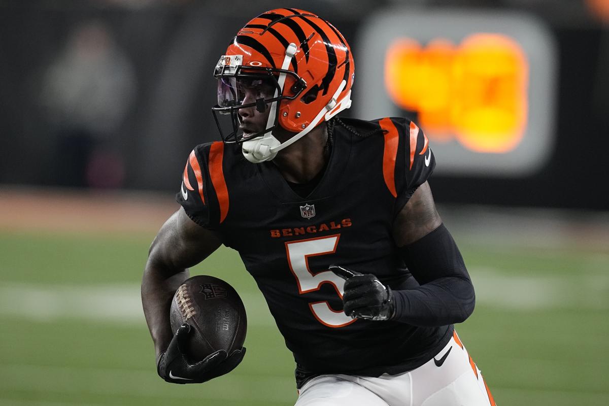 Bengals WR Tee Higgins, DE Sam Hubbard out for Sunday's game, WR