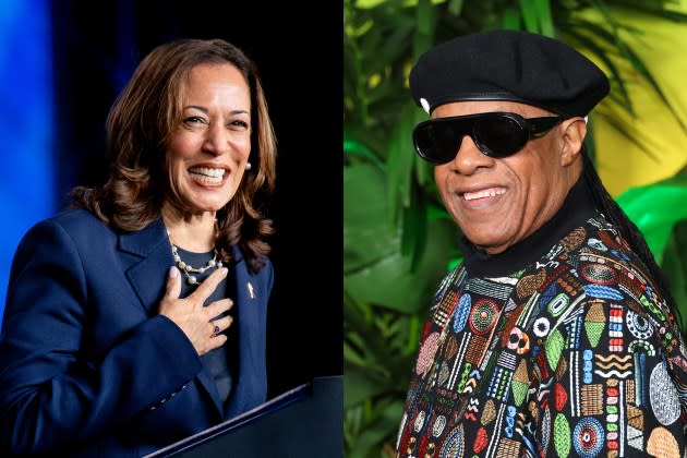 Stevie Wonder; Kamala Harris - Credit: Brandon Bell/Getty Images; Leon Bennett/Getty Images