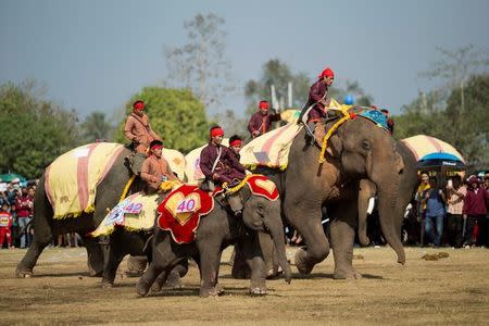 Elephants take part in a parade during Elephant Festival, which organisers say aims to raise awareness about the animals, in Sayaboury province, Laos February 18, 2017. REUTERS/Phoonsab Thevongsa