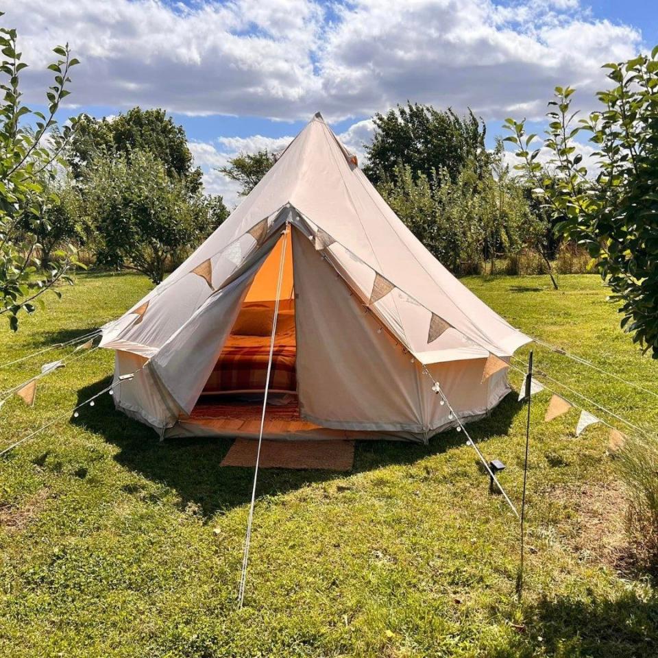 Guests can glamp beside the vineyards at Yorkshire Heart near York