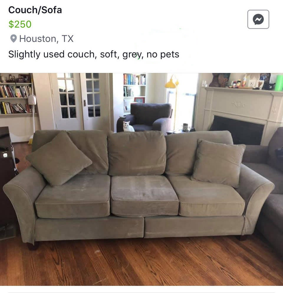 A classified advertisement of a Couch/Sofa for sale with a cat hidden in the 'no pets' household.