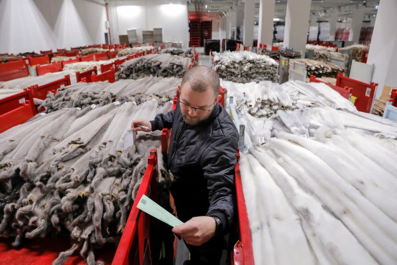 Kopenhagen Fur employee Bjarne Bendtsen works amongst mink pelts in the company's storage area in Glostrup