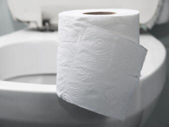 toilet and toilet paper 41758