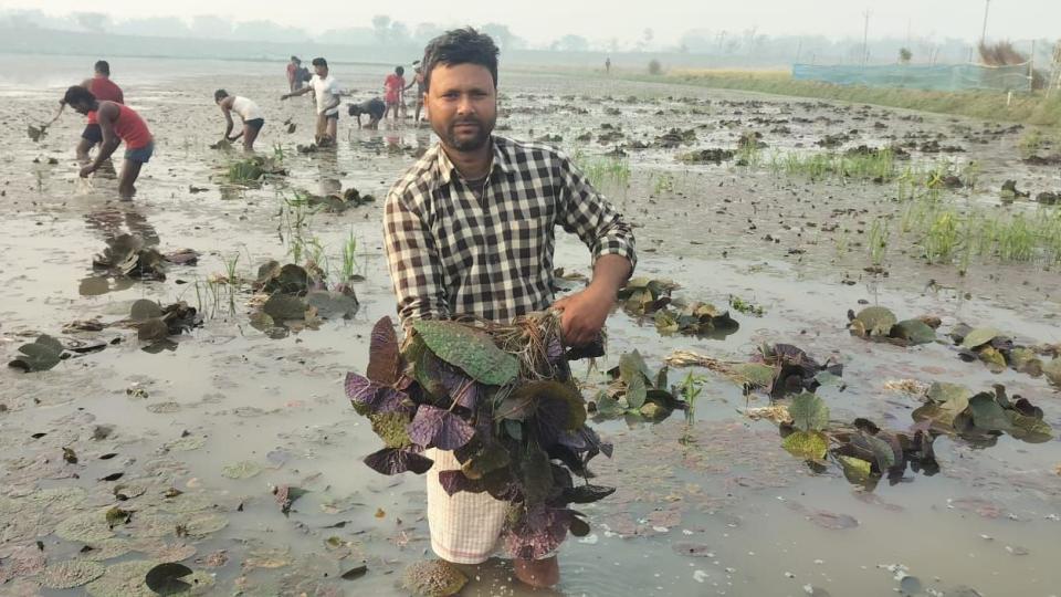 Dhirendra Kumar standing in a flooded field holding a lily plant