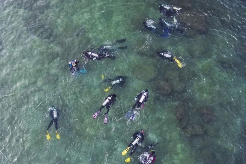 Divers collect garbage off a beach in the Hundred Islands National Park. (Photo: Veejay Villafranca/Bloomberg)