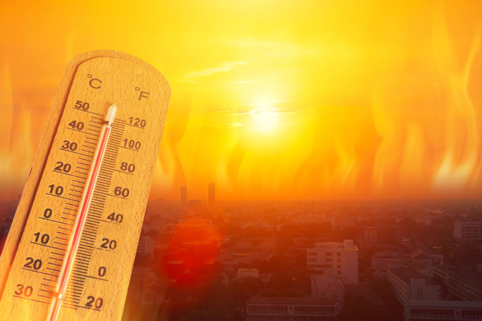 Clima, gli ultimi 5 anni i più caldi dal 1880: l'allarme