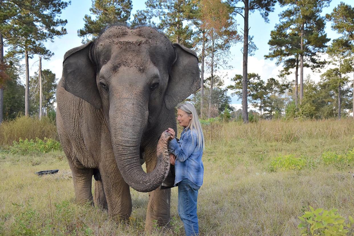 Tarra the elephant reunited with caretaker