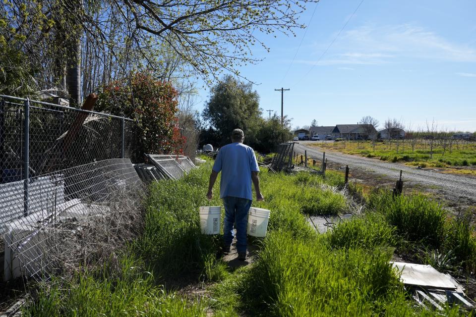 Fred Imfeld carries two buckets of water for his chickens Sunday, March 17, 2024, in Corning, Calif. Imfeld and his wife have a dried up well, so they get a 2,500-gallon tank filled with water a few times a month for their needs. They also get potable water delivered as the couple tries to save to drill a new well. (AP Photo/Godofredo A. Vásquez)