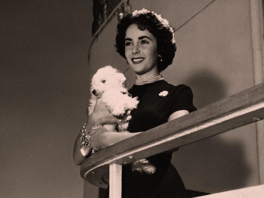 Elizabeth Taylor with her dog aboard the Queen Mary.