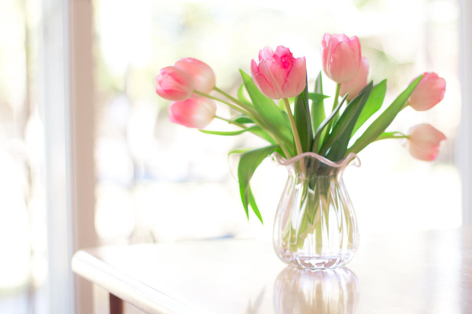 The bulb of a Tulip can cause pain and irritation in the mouth, excessive drooling and nausea. Source: Getty Images