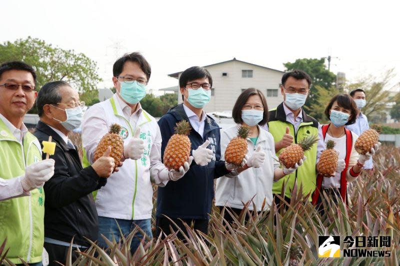 ▲中國以台灣鳳梨有蟲為由，宣布自3月1日起暫停輸入，消息一出引發各界關注。總統蔡英文為此今日特地南下高雄大樹探訪農友。（圖／記者郭俊暉攝 , 2021.02.28）