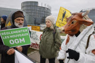 Farmers gather outside the European Parliament for a protest, in Strasbourg, eastern France, Tuesday, Feb. 6, 2024. The European Union's executive on Tuesday shelved its anti-pesticides proposal in yet another concession to farmers after weeks of protests blocked major capital and economic lifelines across the bloc. Placard reads "regulating new GMO". (AP Photo/Jean-Francois Badias)