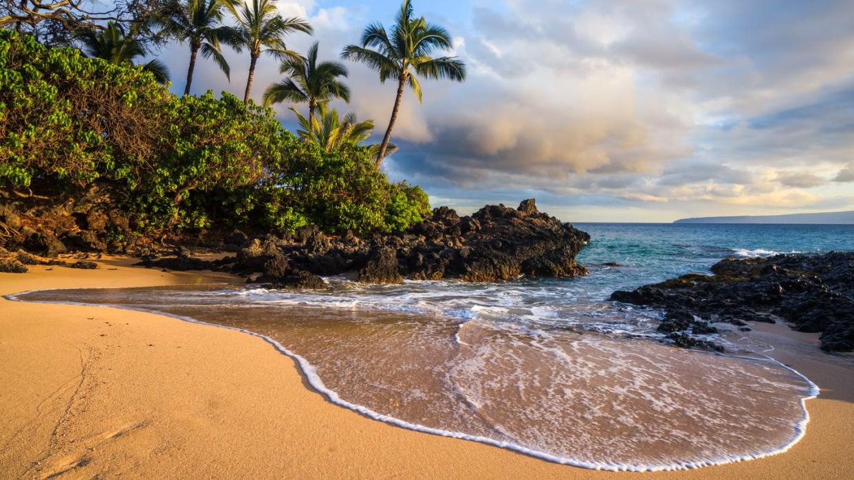 tropical beach at sunset, maui island, hawaii