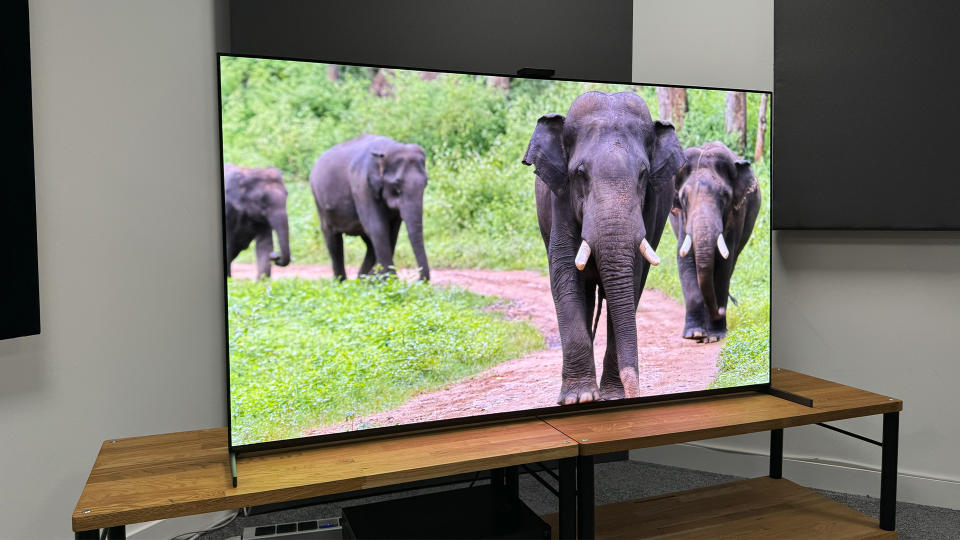 Sony A95L with elephants on screen