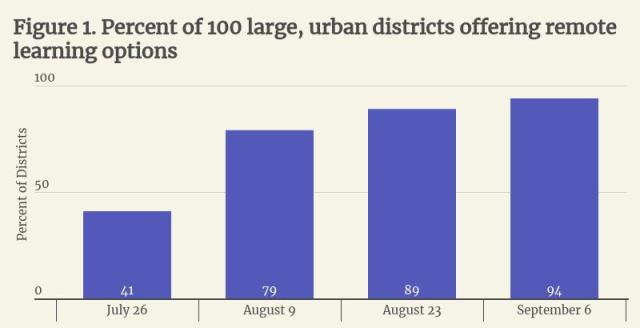 Forbidding Remote Learning: Why Some Schools Won't Offer a Virtual Option  This Fall