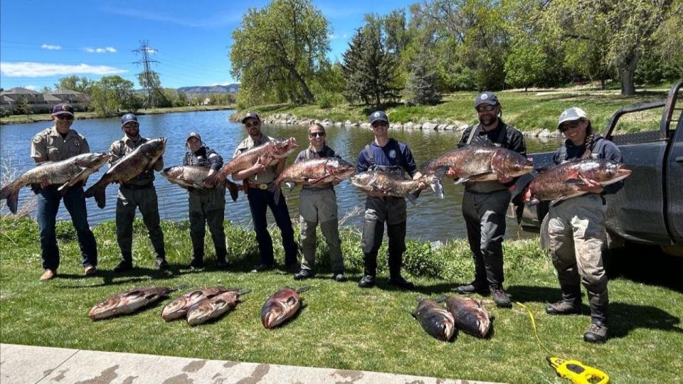 CPW workers smiling holding carps