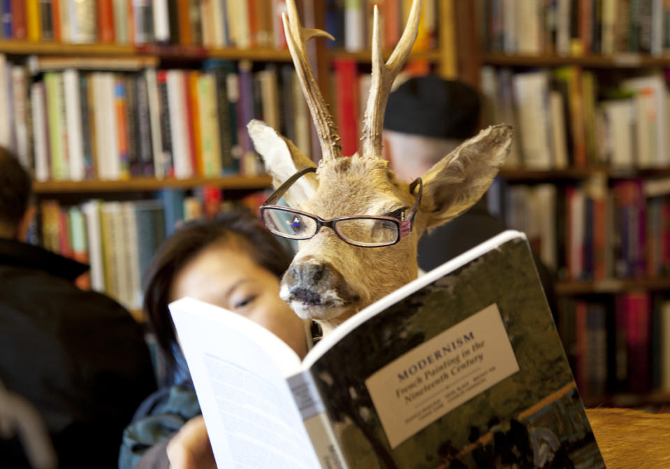 En images, une sélection de livres à l'effet feel-good garanti pour s'aérer l'esprit sans sortir de chez soi ! Des livres qui nous permettent de nous sentir mieux une fois achevés.