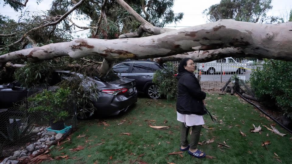 Maura Taura surveys the damaged cause by a downed tree outside her home. - Marcio Jose Sanchez/AP