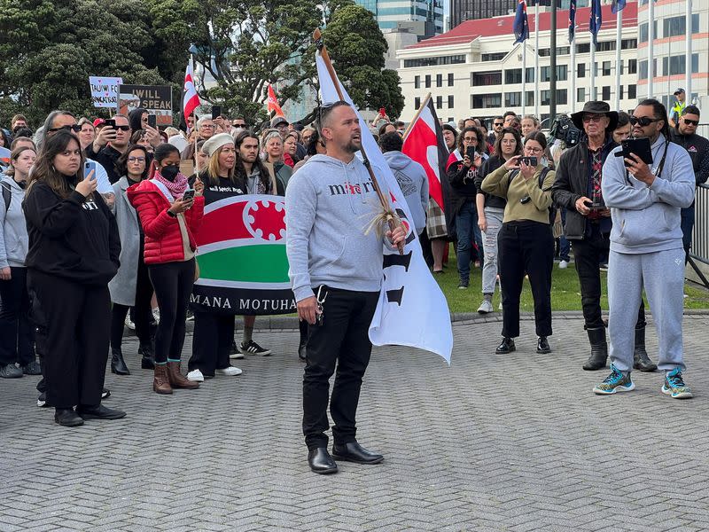 Protest against the incoming government and its policies, in Wellington