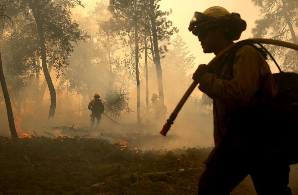 CAL FIRE firefighters monitor a burn operation as they battle the Oak Fire near Jerseydale, Calif., on July 24.<span class="copyright">Justin Sullivan—Getty Images</span>